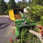 Hills District Tree Removal: Navigating Unique Challenges and Opportunities