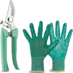 Essential Tree Pruning Tools for Homeowners