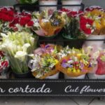 Milsons Point Florist: Elevate Special Occasions with Unique Arrangements