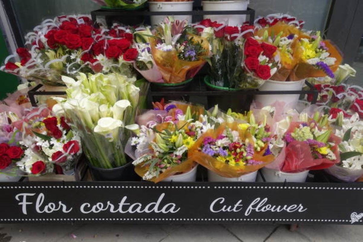 Milsons Point florists