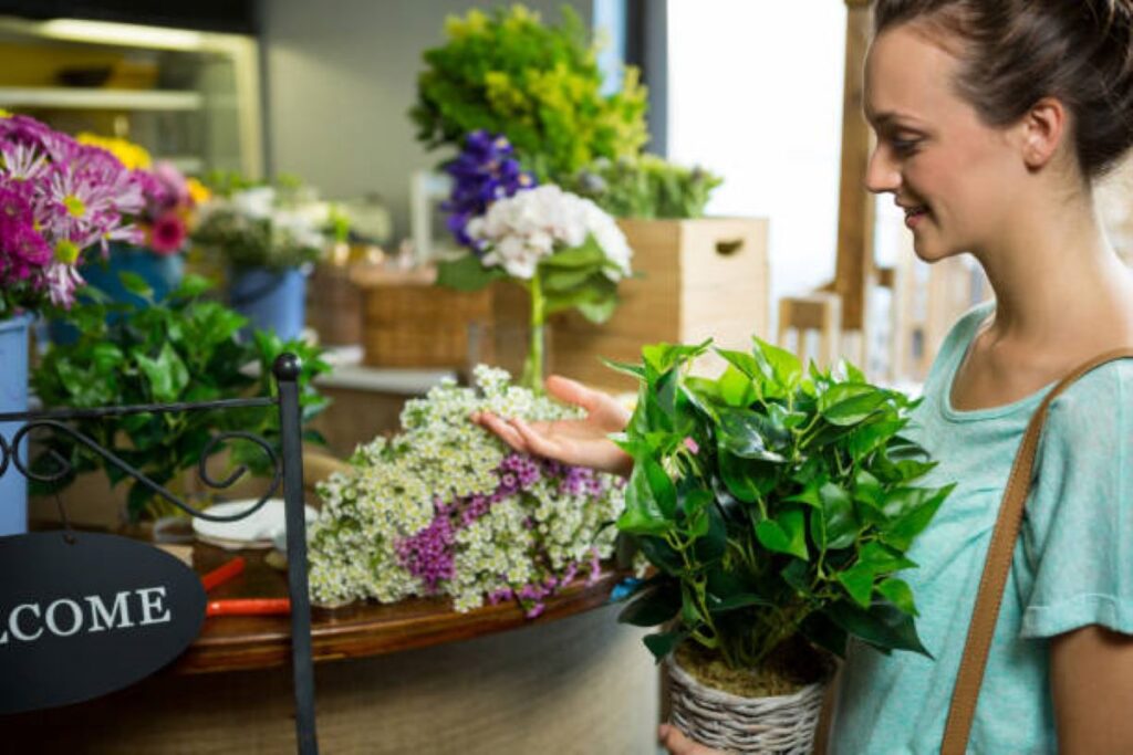 Milsons Point florists