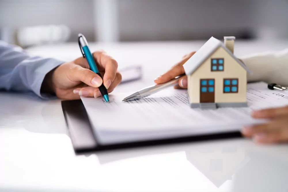 buyers agency randwick