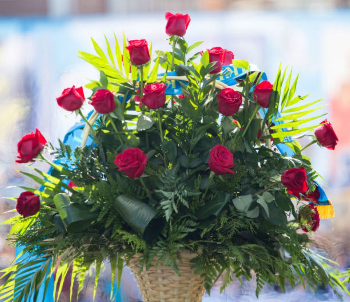 flowers crows nest