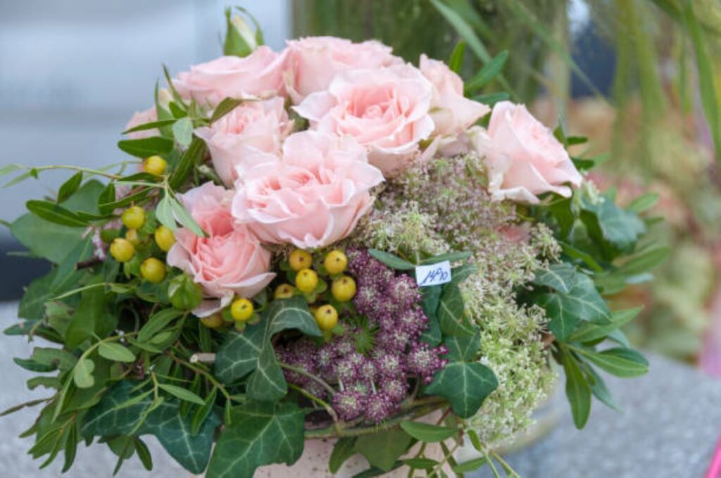 flowers crows nest