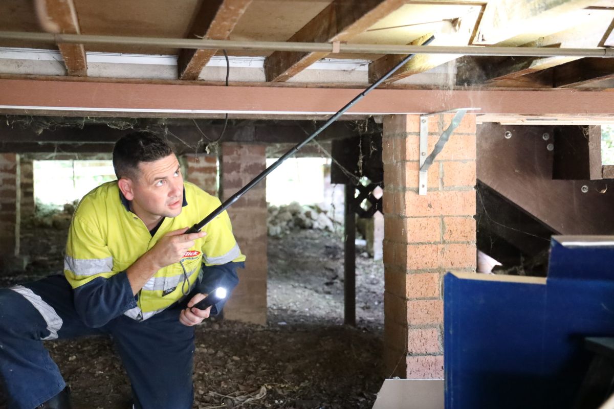 termite control services